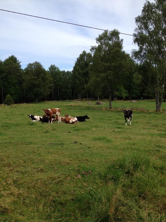 Stuga Linnebraten Varnamo Luaran gambar
